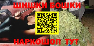индика Обь