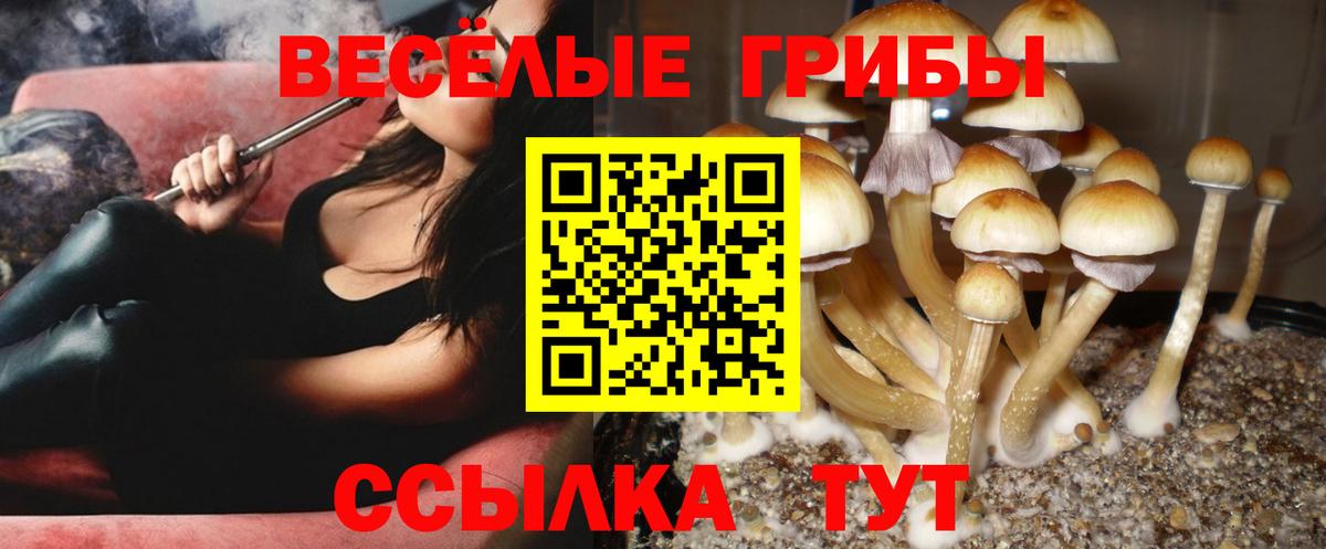 Псилоцибиновые грибы GOLDEN TEACHER  Псилоцибиновые грибы мухоморы  наркота  Протвино  Вход с VPN 